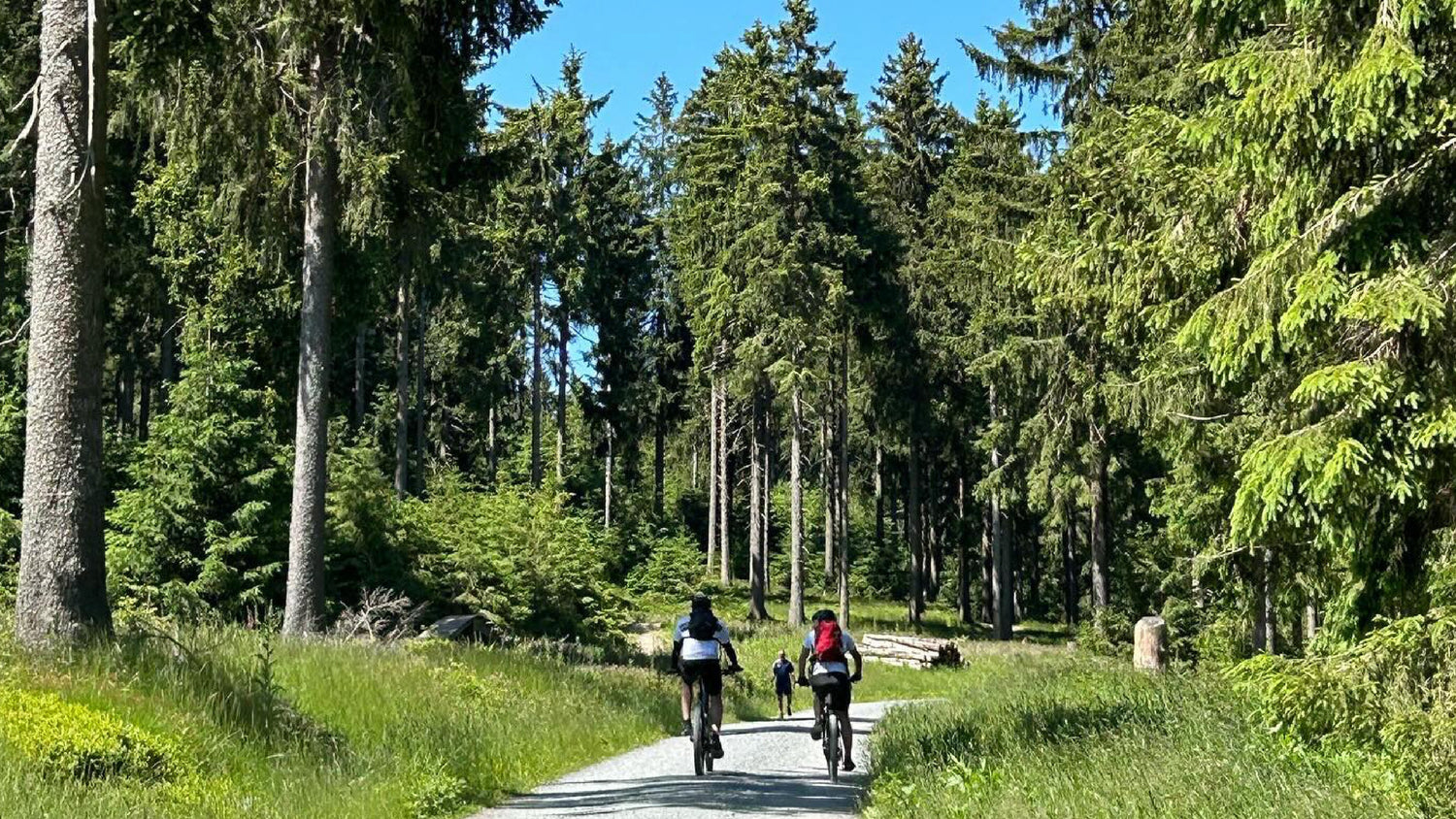 Explore Flowtrail Feldberg mountain bike park designed by Hibike #SLab
