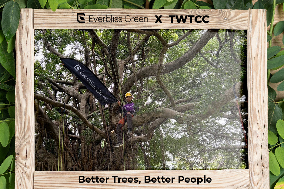 Thanks for participating in 2024 Taiwan Tree Climbing Championship (TWTCC)🏆
